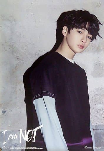 国産限定品 Stray Kids FELIX フィリックス I AM YOU 紫枠 トレカ