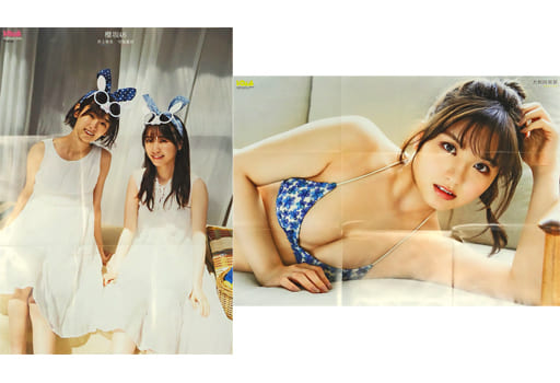 駿河屋 -<中古>両面超BIGポスター(九つ折) 井上梨名&守屋麗奈(櫻坂46
