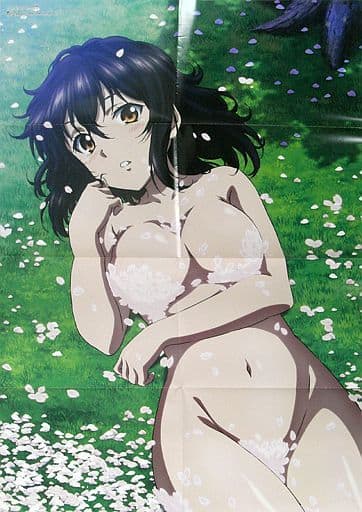 B2両面(八つ折) 姫柊雪菜/西住みほ&西絹代 「ストライク・ザ・ブラッドIV/ガールズ&パンツァー 最終章」 Megami MAGAZINE 2021年5月号別冊付録_image