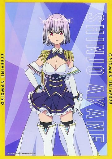 駿河屋 -<中古>A3クリアポスター 新条アカネ 「DMMスクラッチ 駿河屋 -<中古>A3クリアポスター 新条アカネ 「DMMスクラッチ
