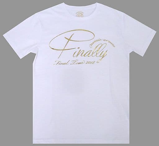 安室奈美恵 finally Tシャツ 新品