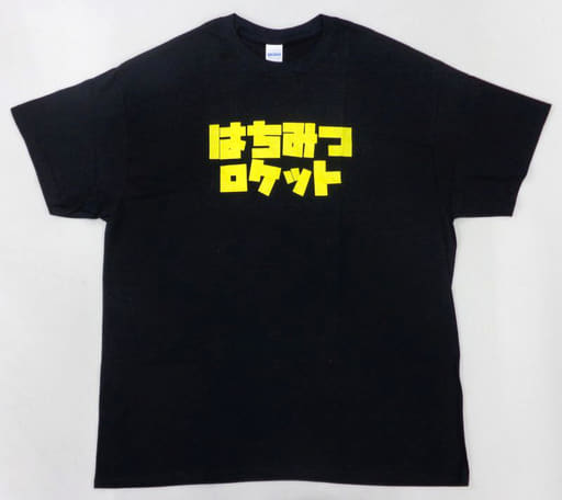 ☆大感謝セール】 はちみつ様 黒TシャツL 4/30〜 その他