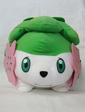 駿河屋 中古 シェイミ ランドフォルム スーパーdxコロっとまんまるぬいぐるみ シェイミランドフォルム シェイミスカイフォルム ポケットモンスター ダイヤモンド パール ぬいぐるみ