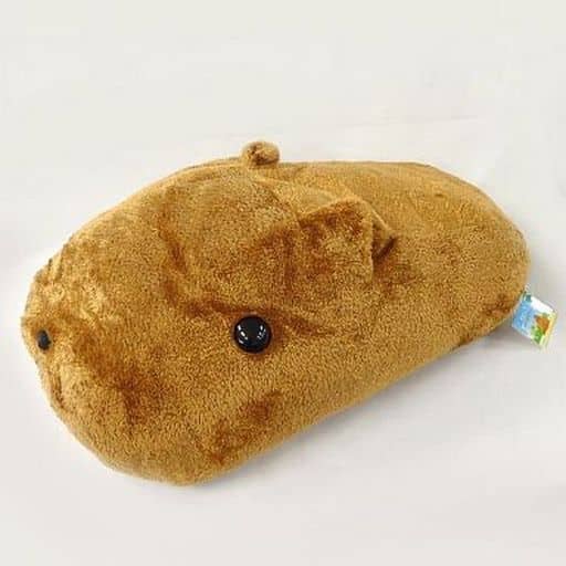駿河屋 -<中古>カピバラさん もふっとカピバラさんぬいぐるみ