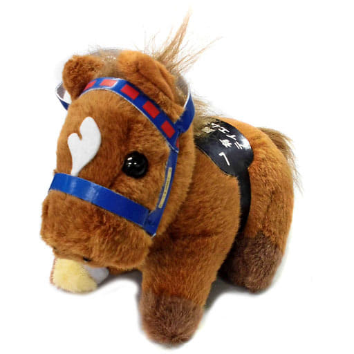 駿河屋 -<中古>テイエムオペラオー(第45回有馬記念) スタンダード