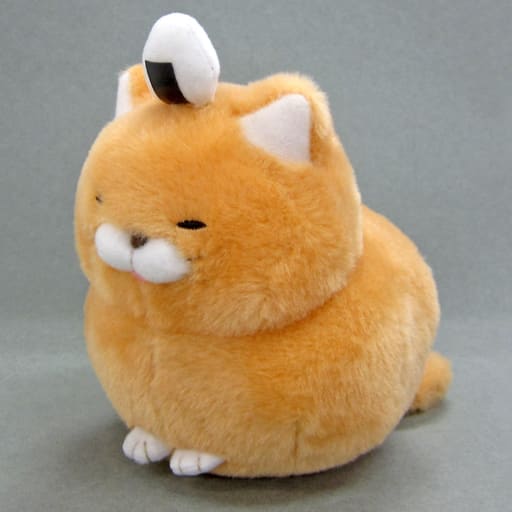 駿河屋 中古 ふくにゃん ひげまんじゅう和 スタンダードぬいぐるみ ひげまんじゅう ぬいぐるみ 駿河屋 中古 ふくにゃん ひげまんじゅう和 スタンダードぬいぐるみ ひげまんじゅう ぬいぐるみ
