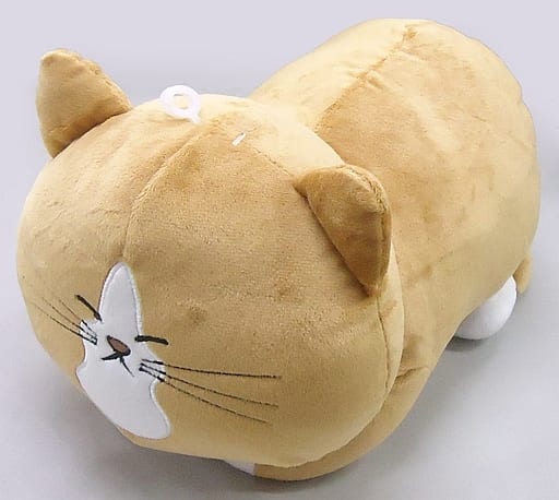 駿河屋 中古 ぽんた 猫のぽんたスヤァbigぬいぐるみ 鴻池剛と猫のぽんた ニャアアアン ぬいぐるみ