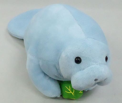 駿河屋 買取 マナティー リアルシリーズ ぬいぐるみ S 沖縄美ら海水族館 ぬいぐるみ 駿河屋 買取 マナティー リアルシリーズ ぬいぐるみ S 沖縄美ら海水族館 ぬいぐるみ