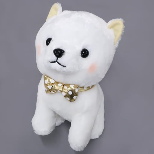 駿河屋 - 【買取】しらたま プレミアム豆しば三兄弟 BIGぬいぐるみ