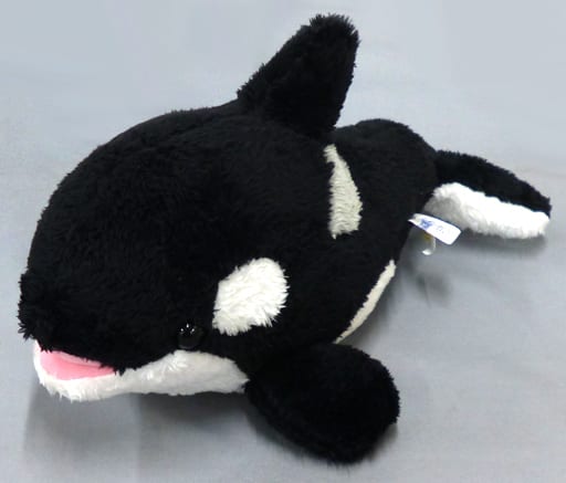 駿河屋 中古 シャチ 黒 ぬいぐるみ シャチくじ 4等 ぬいぐるみ