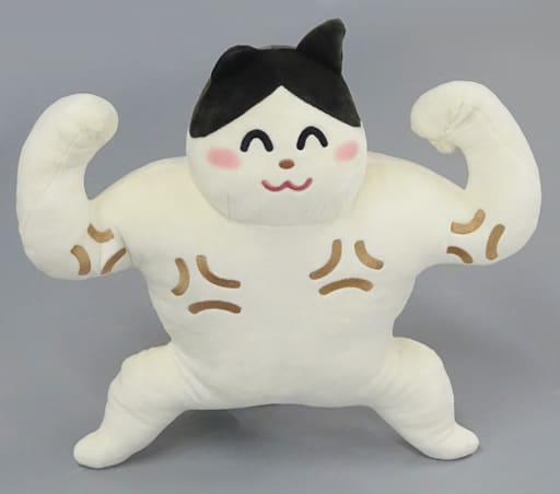 駿河屋 中古 猫 ムキムキ 枕にもなるbigぬいぐるみ いらすとや ぬいぐるみ