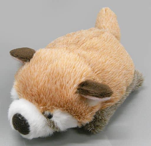 駿河屋 -<新品/中古>レッサーパンダ ぽちゃまるぬいぐるみ(S) 「大陸