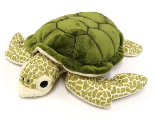 駿河屋 -<中古>アオウミガメ リアルシリーズ ぬいぐるみ(M) 沖縄美ら海