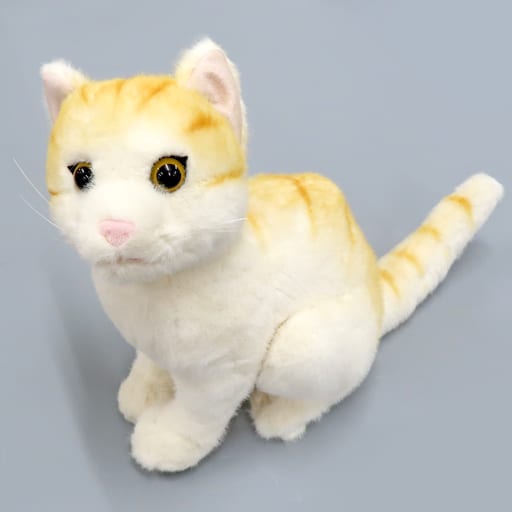 新品　セレブリティキャット　チャトラ　リアルキャット　ぬいぐるみ