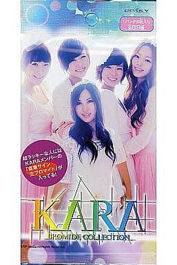 駿河屋 -<新品/中古>【 パック 】KARA ブロマイドコレクション（生写真）