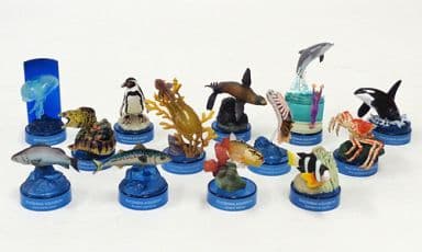 駿河屋 中古 全13種セット 新江ノ島水族館への誘い2 04年 セブンイレブン キャンペーン品 ペットボトルキャップ 駿河屋 中古 全13種セット 新江ノ島水族館への誘い2 04年 セブンイレブン キャンペーン品 ペットボトルキャップ