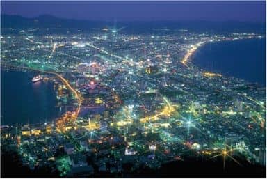 駿河屋 -<中古>函館の夜景 ジグソーパズル 1000ピース （パズル）