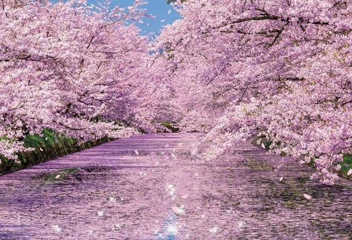 駿河屋 -<新品/中古>弘前公園の桜 「日本風景」 ジグソーパズル 300