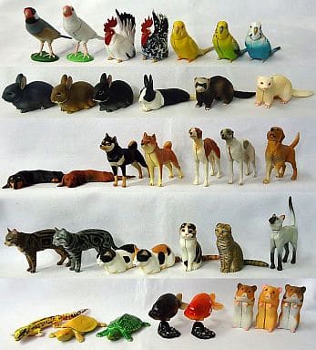 駿河屋 -<中古>ノーマル35種セット 「チョコエッグ ペット動物