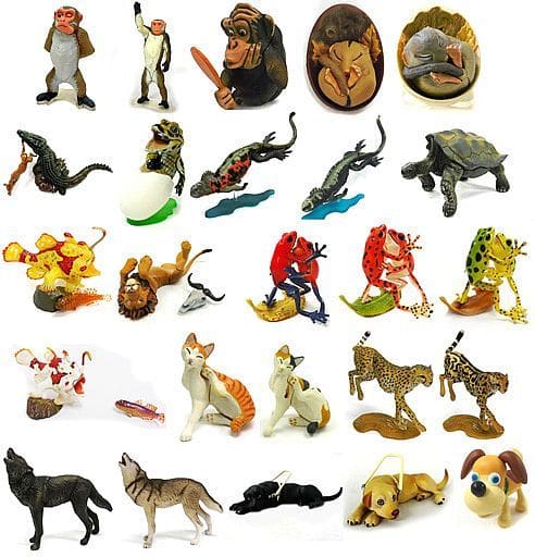 駿河屋 -<中古>全25種セット 「チョコQ 動物奇想天外!編