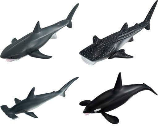 駿河屋 -<中古>全4種セット 「神秘の世界 大海の生物 海のハンター 駿河屋 -<中古>全4種セット 「神秘の世界 大海の生物 海のハンター