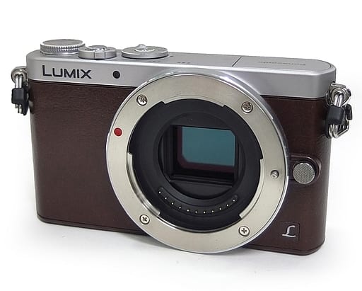 駿河屋 -<中古>パナソニック デジタル一眼カメラ LUMIX DMC-GM1SK ...