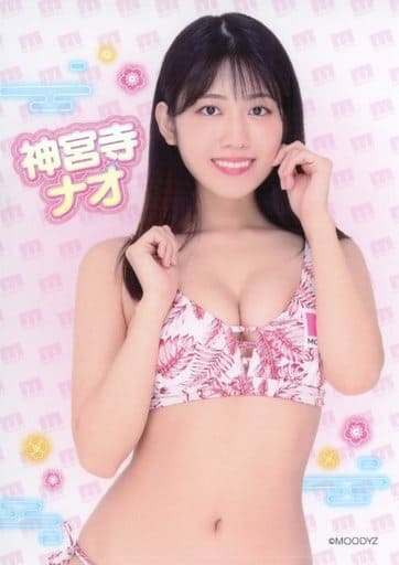 駿河屋 -【アダルト】<中古>神宮寺ナオ(水着:リーフ柄/正面