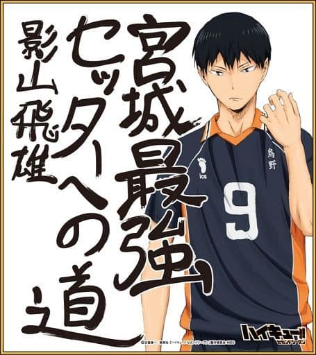 駿河屋 -<中古>影山飛雄 「ハイキュー!! ビジュアル色紙コレクション 駿河屋 -<中古>影山飛雄 「ハイキュー!! ビジュアル色紙コレクション