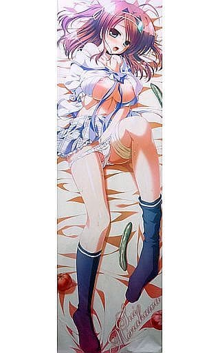 夏空のペルセウス 抱き枕カバー シーツ6点セット 中古 正規品 夏空のペルセウス 抱き枕カバー シーツ6点セット 中古 正規品