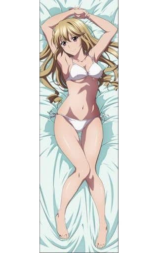駿河屋 中古 藍羽浅葱 抱き枕カバー ストライク ザ ブラッドiii スペシャルイベント 僕たちは4期を諦めない 抱き枕カバー シーツ 駿河屋 中古 藍羽浅葱 抱き枕カバー ストライク ザ ブラッドiii スペシャルイベント 僕たちは4期を諦めない 抱き枕カバー シーツ