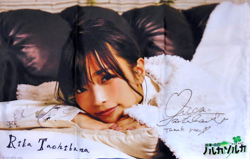 駿河屋 -<中古>立花理香 直筆サイン入りピローケース 「井澤・立花