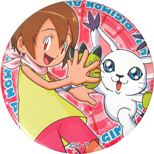 駿河屋 中古 八神ヒカリ テイルモン ドでか缶バッジ デジモンアドベンチャー 15th Anniversary Event 0801 In お台場 今 冒険が進化する バッジ ピンズ