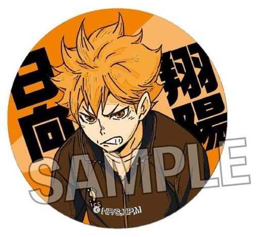 駿河屋 -<中古>日向翔陽 「ハイキュー!! TO THE TOP