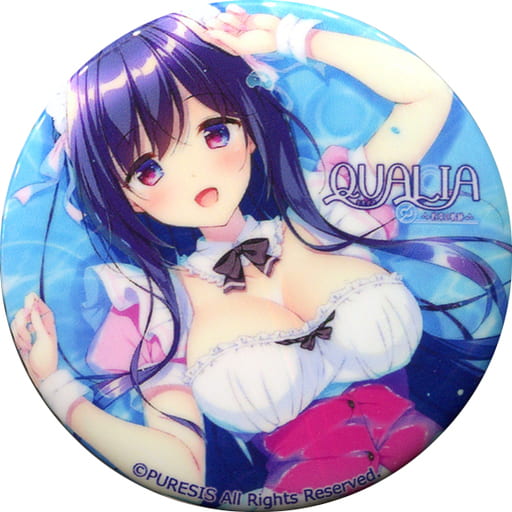 QUALIA～約束の軌跡～