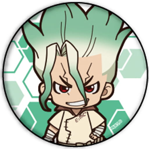 超大特価 Dr.STONE 石神千空 缶バッジ 21個 バッジ - education.semel