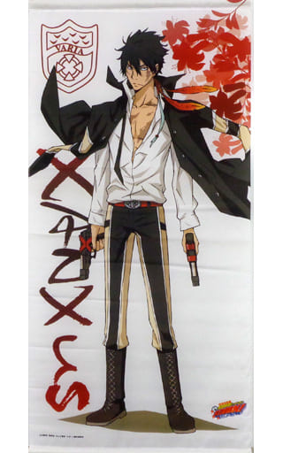 駿河屋 中古 Xanxus 10年後 タペストリー 家庭教師ヒットマンreborn タペストリー 駿河屋 中古 Xanxus 10年後 タペストリー 家庭教師ヒットマンreborn タペストリー