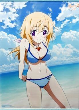 駿河屋 -<中古>シャルロット・デュノア B2タペストリー 「Blu-ray/DVD 駿河屋 -<中古>シャルロット・デュノア B2タペストリー 「Blu-ray/DVD