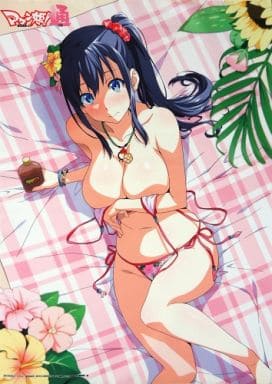 天谷春恋 描き下ろしB2タペストリー 「Blu-ray/DVD マケン姫っ!通」 ソフマップ全巻購入特典 天谷春恋 描き下ろしB2タペストリー 「Blu-ray/DVD マケン姫っ!通」 ソフマップ全巻購入特典