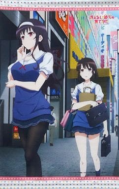 駿河屋 -<中古>霞ヶ丘詩羽&加藤恵 アニメ描き下ろしB3ペストリー