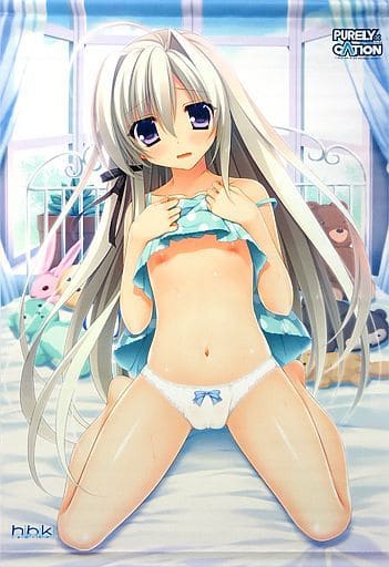 駿河屋 -【アダルト】<中古>葵澄怜 描き下ろしB2タペストリー 「PC 駿河屋 -【アダルト】<中古>葵澄怜 描き下ろしB2タペストリー 「PC