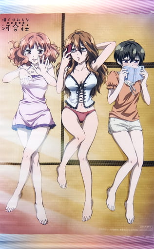 駿河屋 買取 河合律 錦野麻弓 渡辺彩花 アニメイラスト描き下ろしa3タペストリー Blu Ray Dvd 僕らはみんな河合荘 とらのあな全巻購入特典 タペストリー