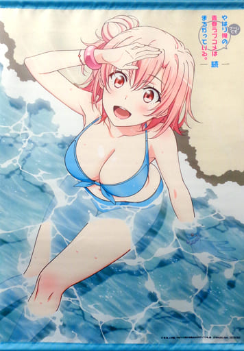駿河屋 -<中古>由比ヶ浜結衣 描き下ろしB2タペストリー 「PS Vita