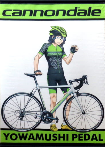 駿河屋 -<中古>手嶋純太(HOOLIGAN ROAD) B2タペストリー 「弱虫ペダル