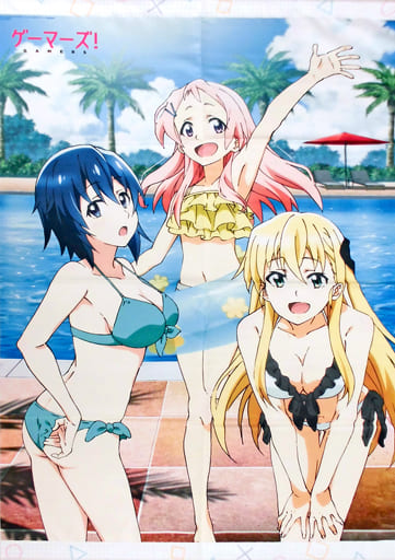 アニメ描きおろしB1タペストリー 「Blu-ray/DVD ゲーマーズ