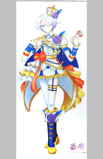 駿河屋 -<中古>紫京院ひびき 描き下ろし等身大タペストリー 「プリパラ