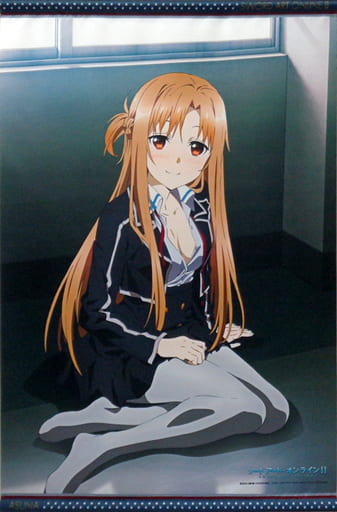 SAO ソードアートオンライン DVD 特典タペストリー付き www.esnmurcia.org