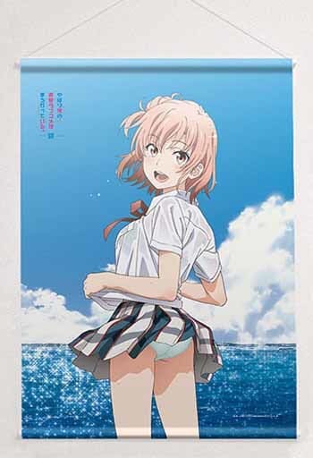 駿河屋 -<新品/中古>由比ヶ浜結衣(海) 描き下ろしB2タペストリー