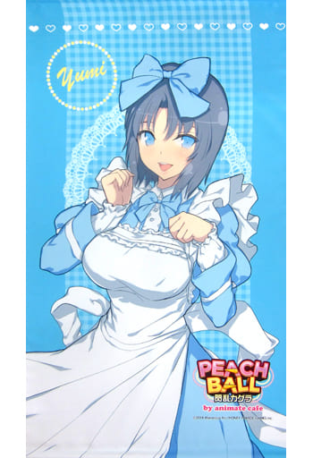 即納 閃乱カグラ 雪泉 タペストリー 閃乱カグラ - www.moonmile.net