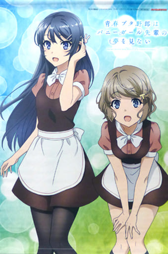 駿河屋 -<中古>麻衣&朋絵 描き下ろしB2タペストリー 「Blu-ray/DVD