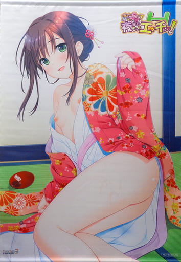 駿河屋 -【アダルト】<中古>女未そら 描き下ろしB2タペストリー 「PC 駿河屋 -【アダルト】<中古>女未そら 描き下ろしB2タペストリー 「PC
